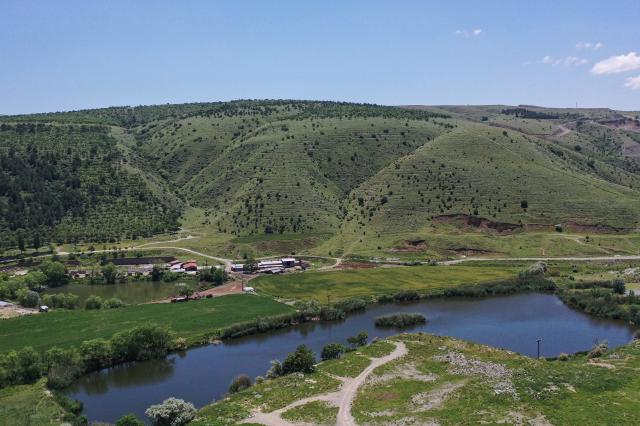 Aralıksız yağışlar Ankara'yı adeta Karadeniz'e çevirdi! Dağlar tepeler yeşil örtüyle kaplandı