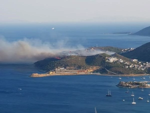 Muğla'nın Datça ilçesinde ormanlık alanda yangın