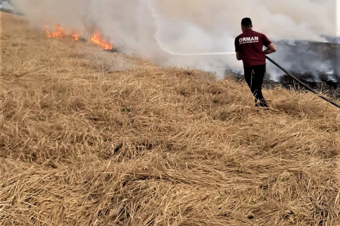 Gediz’de çıkan yangında 8 dekar buğday tarlası zarar gördü