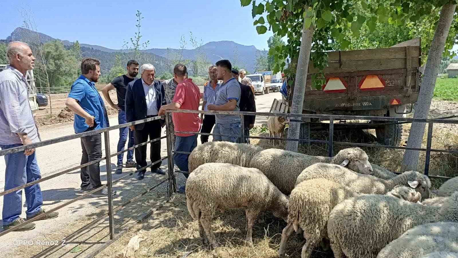 Başkan Şahin kurban pazarında incelemelerde bulundu