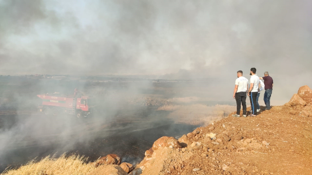 Diyarbakır'da ekili alanda çıkan yangın saatler sonra söndürüldü! Binlerce dönüm küle döndü