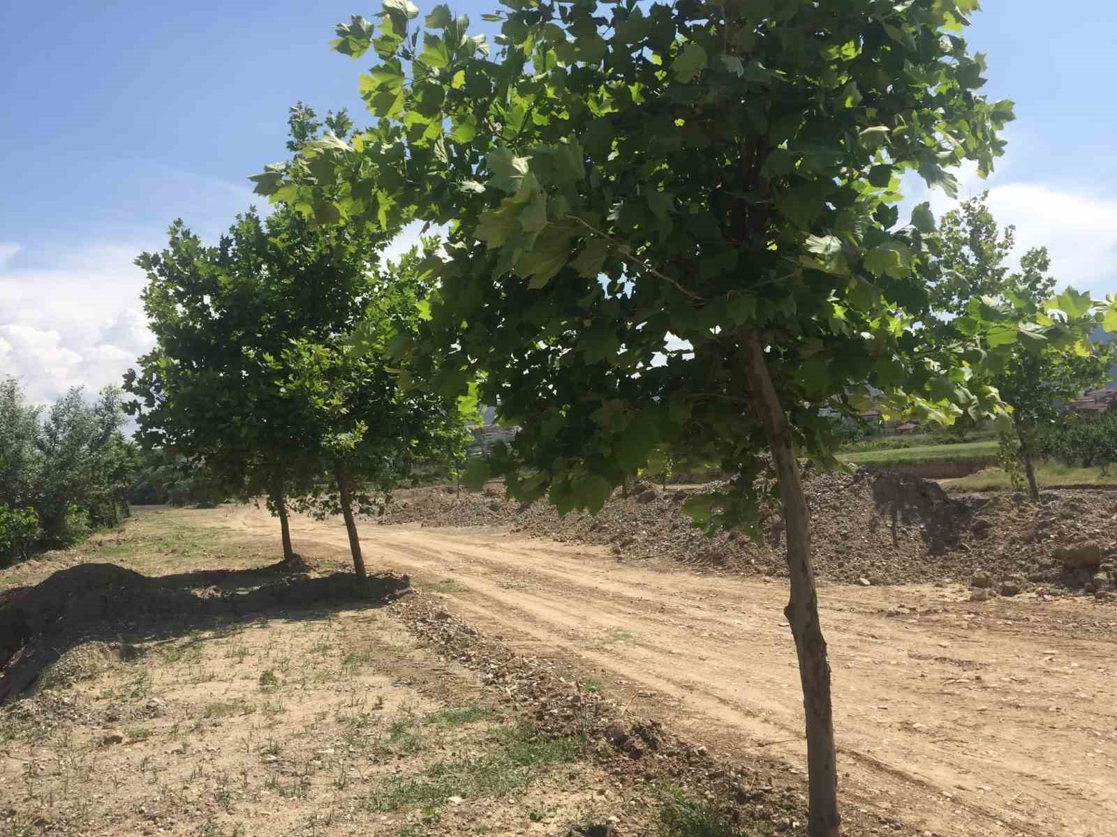 Osmaneli Belediyesi Millet Parkı yatırımı hızla devam ediyor