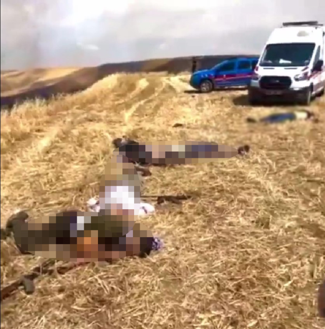 Diyarbakır'da 9 kişinin öldürüldüğü katliamın nedeni ortaya çıktı! Buğday ekili araziyi ateşe vermişler