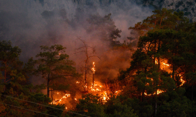 Orman yangınıyla mücadele eden Antalya'da ağaçların sıklığı ekipleri zorluyor! Havada yoğun bir trafik var