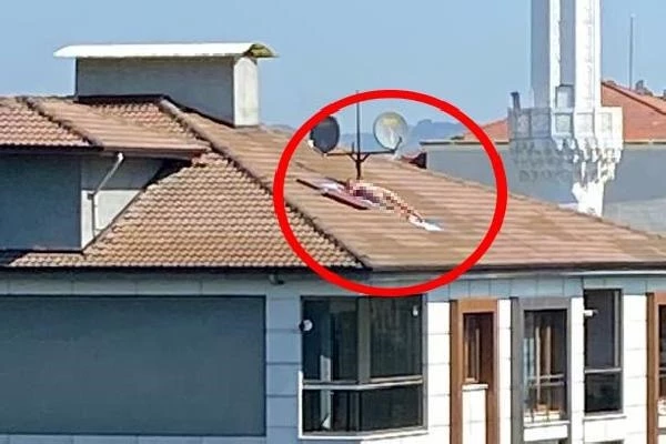 Çatıda çırılçıplak güneşlenen adam, binanın sahibi çıktı! Almanya'dan gelmiş