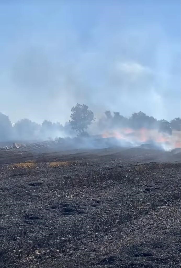 Eskişehir’de 60 dönüm tarım arazisi yangında zarar gördü