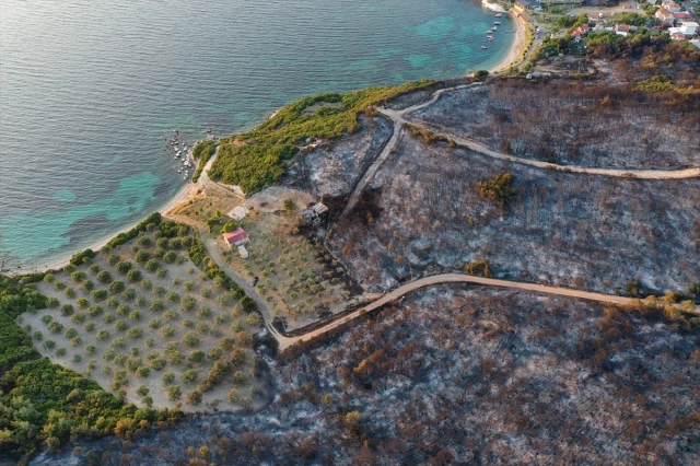 İzmir Aliağa'da çıkan orman yangını kontrol altına alındı! Bölgenin son görüntüsü yürek burktu
