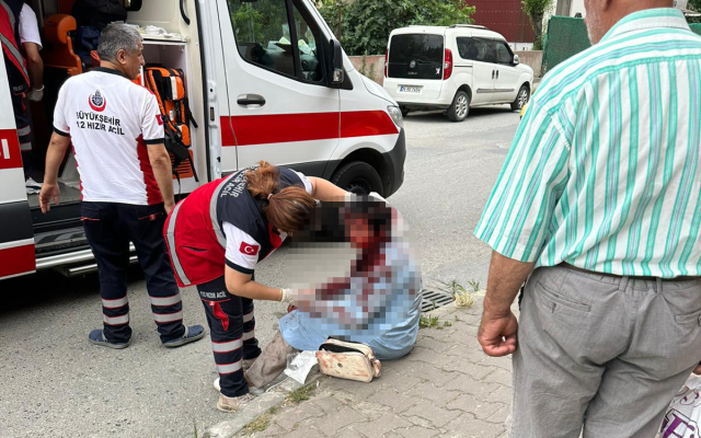 İstanbul'un göbeğinde saldırdığı kadını ağır yaralamıştı! Kangal cinsi köpeğin sahibi tutuklandı