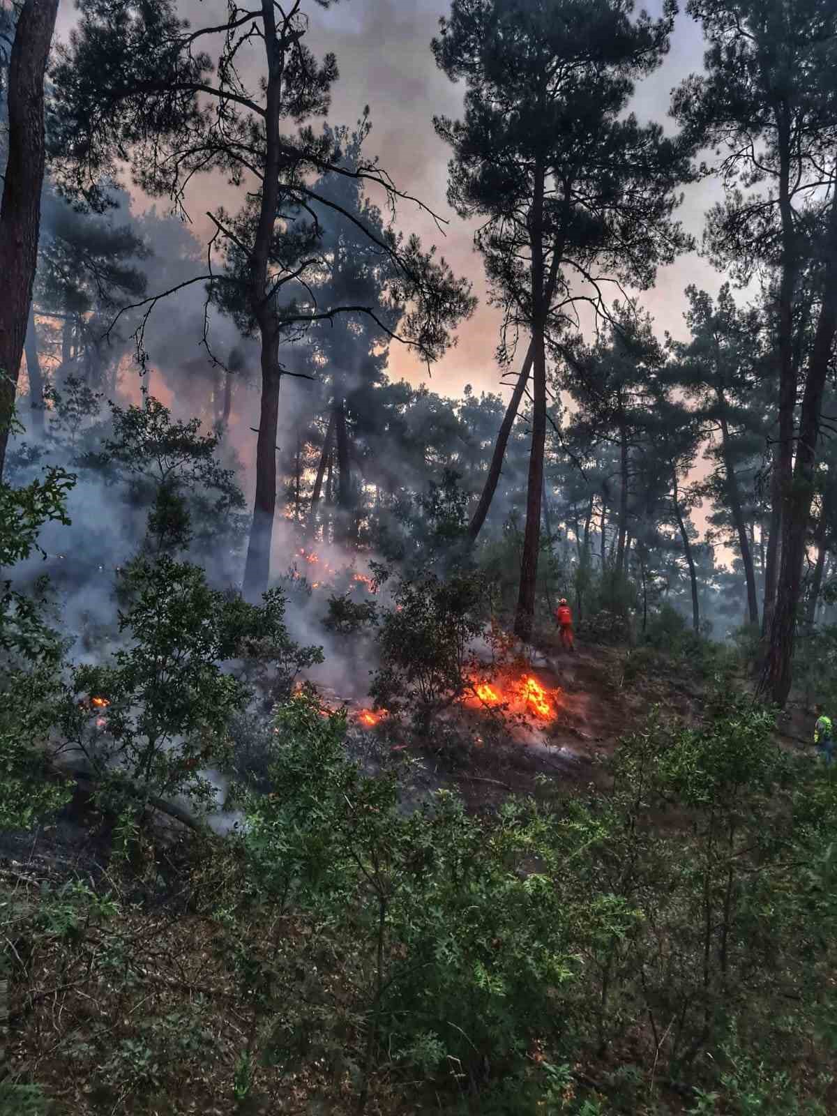 Kütahya’da 9 saat sonra kontrol altına alınan yangında 180 hektarlık alan zarar gördü