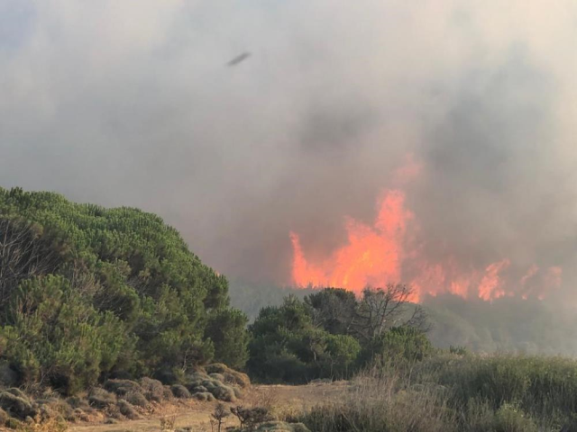 Gökçeada'daki orman yangını 16 saat süren çalışmayla kontrol altına alındı