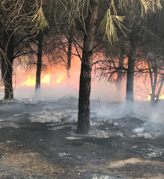 Çanakkale'nin Gökçeada ilçesinde orman yangını! Alevler saatlerdir kontrol altına alınamadı