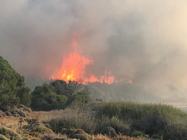 Çanakkale'nin Gökçeada ilçesinde orman yangını! Alevler saatlerdir kontrol altına alınamadı