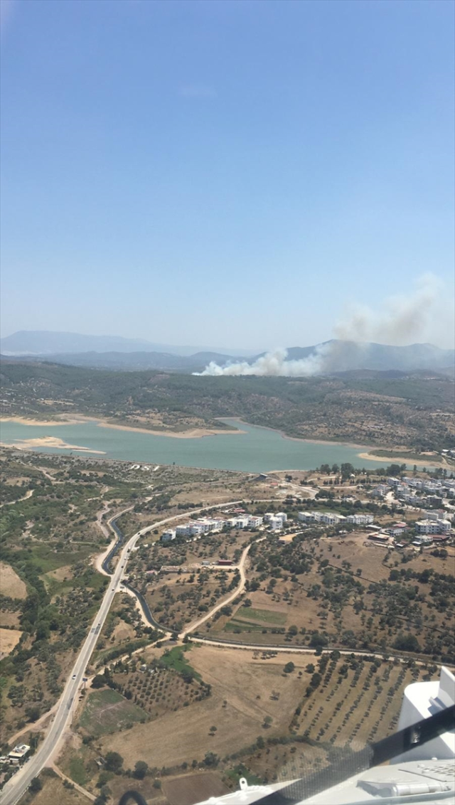 Muğla'nın Milas ilçesinde orman yangını! Ekipler canla başka mücadele ediyor