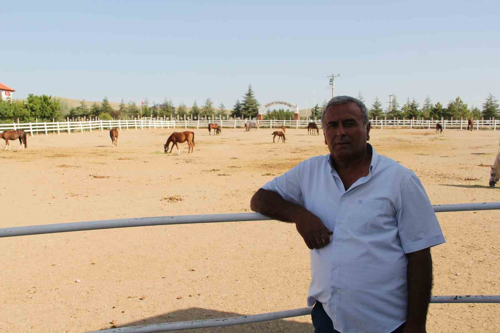 (ÖZEL) Onlarca milyonluk yatırım göz göre göre çürüyor