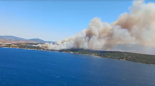 İzmir'de Aliağa ve Menderes ilçelerinde orman yangını! Vatandaşlar tahliye ediliyor