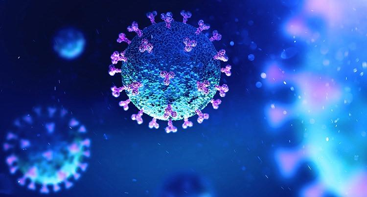 Korkutan açıklama... Koronavirüsün yeni varyantı keşfedildi: 113 farklı mutasyona sahip!