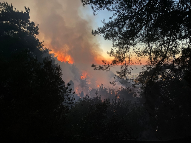 3 ilde orman yangını: Evler yandı, vatandaşlar tahliye edildi, 2 kişi gözaltında