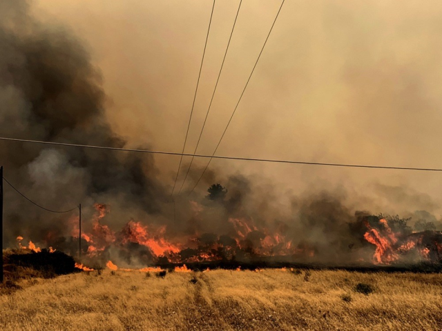 Yunanistan'daki orman yangınlarında 8. gün! Yangın söndürme uçağı düştü, pilotların akıbeti bilinmiyor