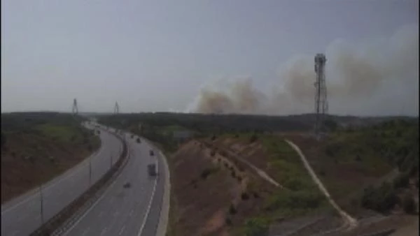 Beykoz'da orman yangını! Havadan ve karadan müdahale ediliyor