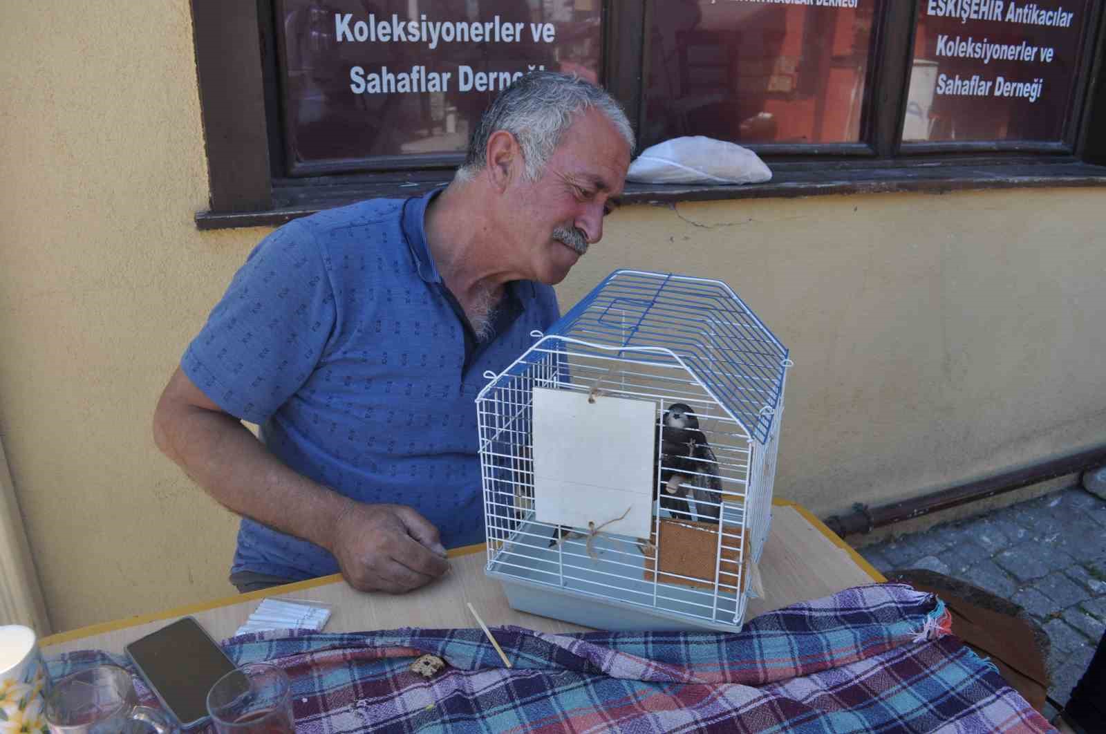 Yaralı ebabil kuşuna çevre esnafı yardım etti