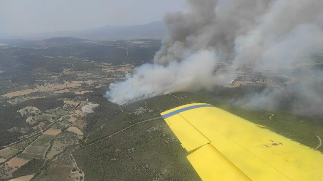 İzmir'in Ödemiş ve Kınık ilçelerinde orman yangını! 3 mahalle tahliye ediliyor