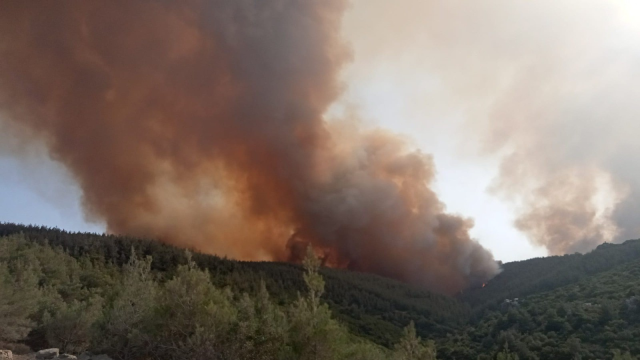 İzmir'in Ödemiş ve Kınık ilçelerinde orman yangını! 3 mahalle tahliye ediliyor