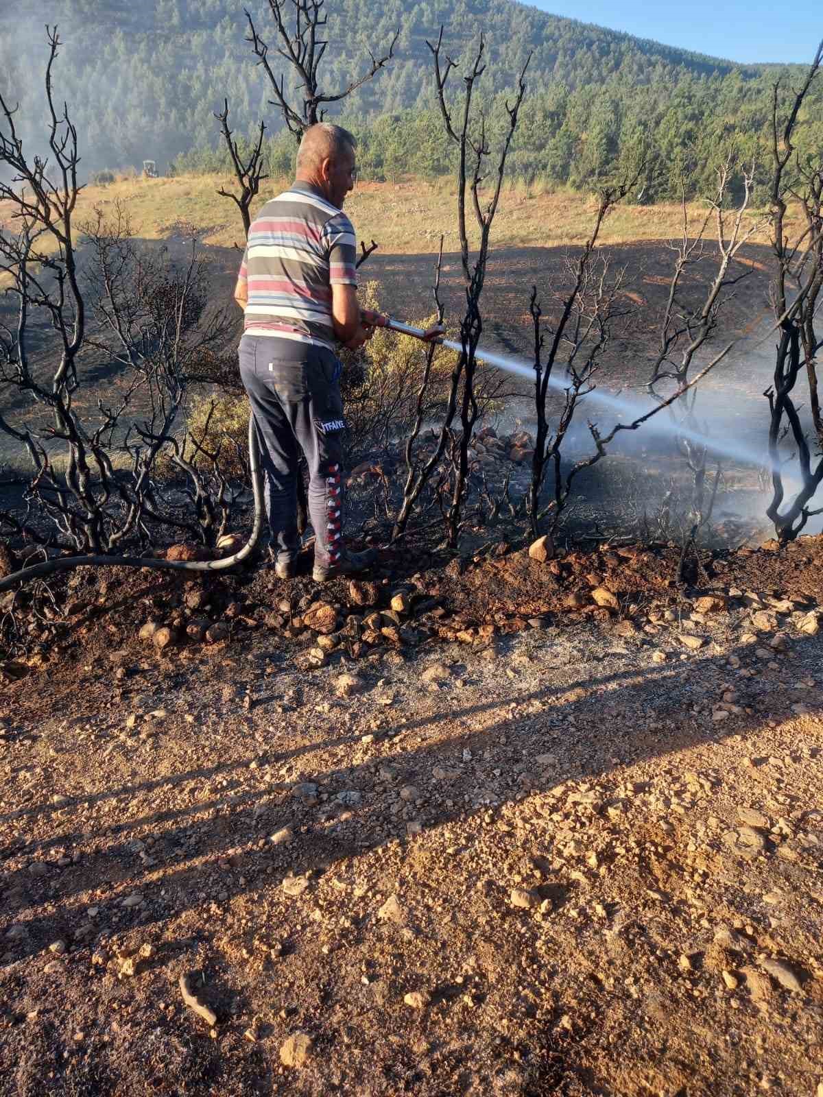 Arazide başlayan yangın ormanlık alan sıçramadan söndürüldü