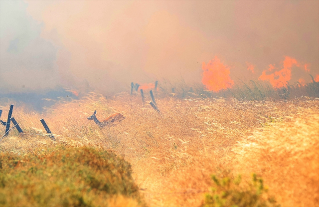 Çanakkale'de dün başlayan yangın hala kontrol altına alınamadı! Köyler tahliye ediliyor