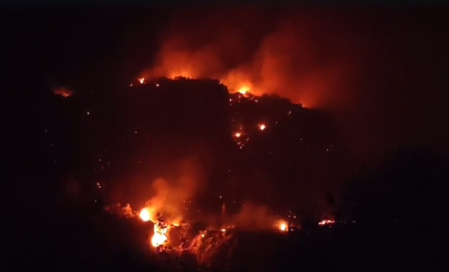 Muğla'nın Seydikemer ilçesinde makilik alanda yangın! Alevlere müdahale devam ediyor