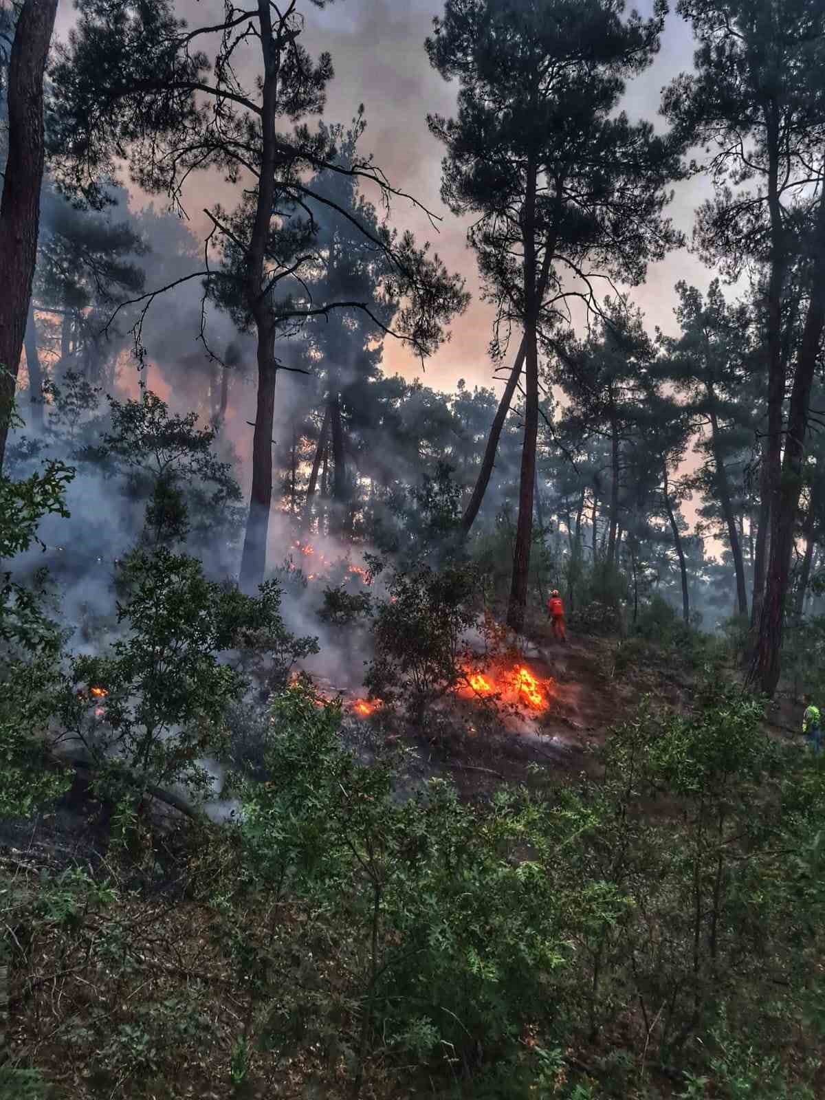 Kütahya’daki orman yangını 9 saat sonra kontrol altına alındı