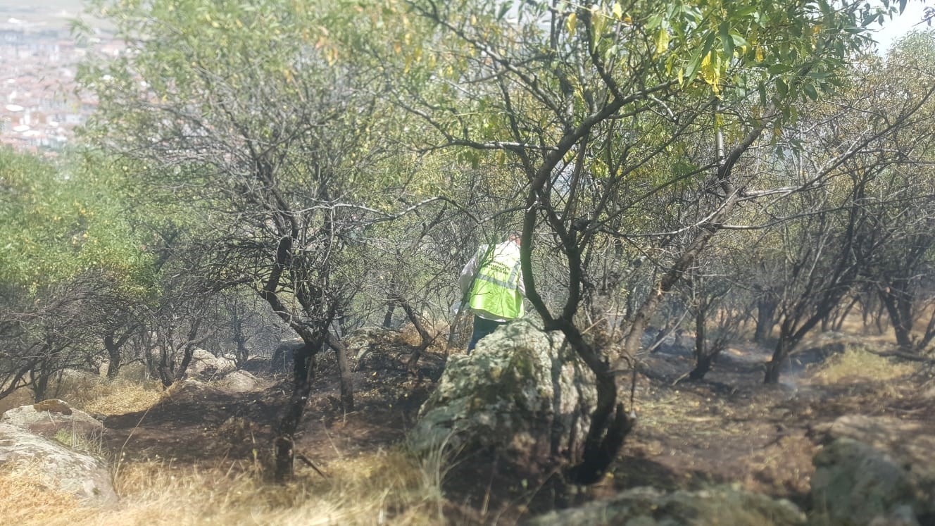 Afyonkarahisar’da çıkan orman yangını 1,5 saatin sonunda söndürüldü