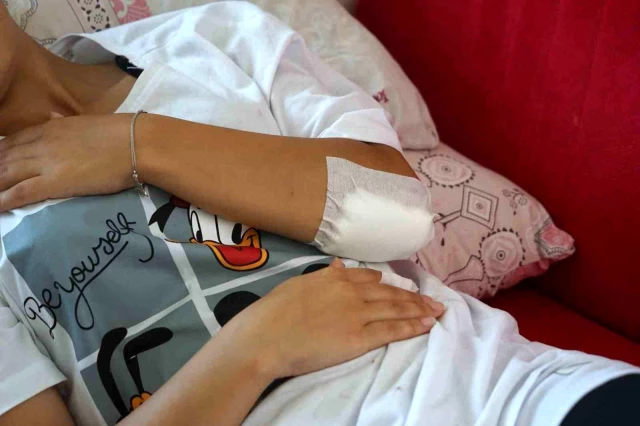 Kastamonu'da başıboş sokak köpeklerinin saldırdığı kadın hastanelik oldu