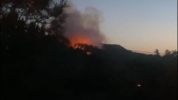 İstanbul Maltepe'de orman yangını çıktı, ekipler bölgeye sevk edildi