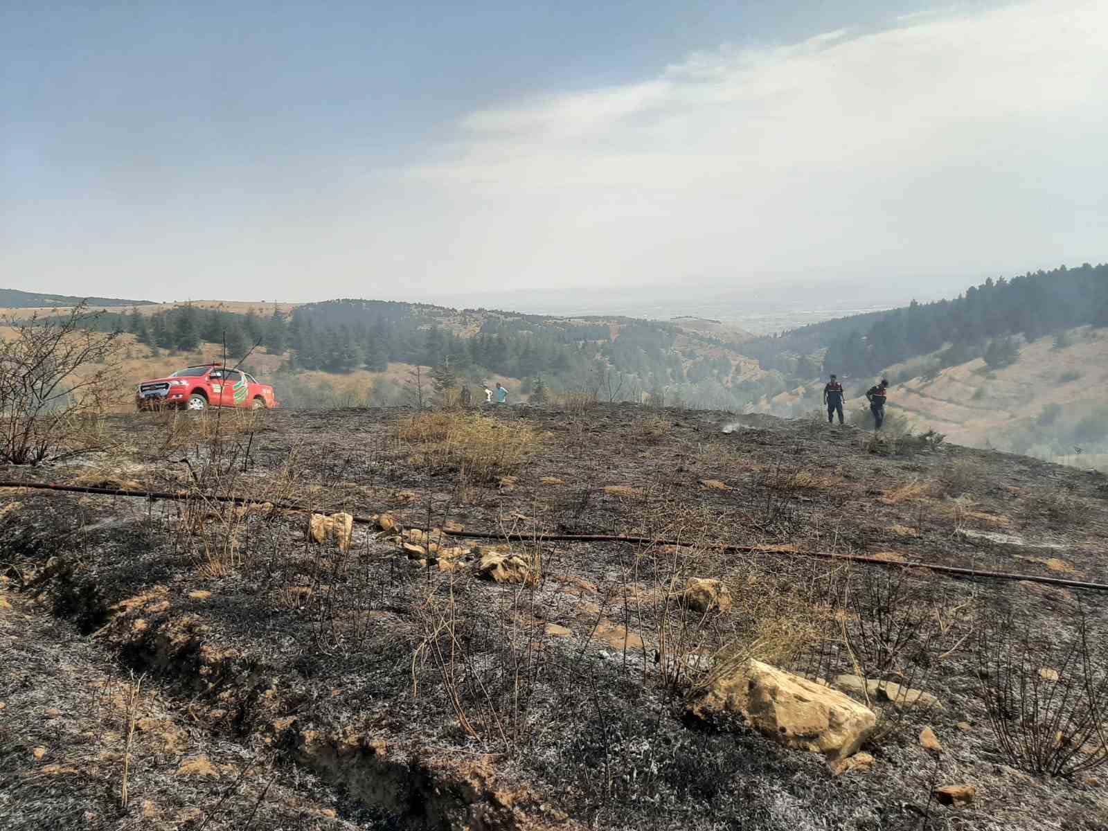 Anız yakılmasıyla tarlada başlayan yangın ormanlık alana sıçramadan söndürüldü