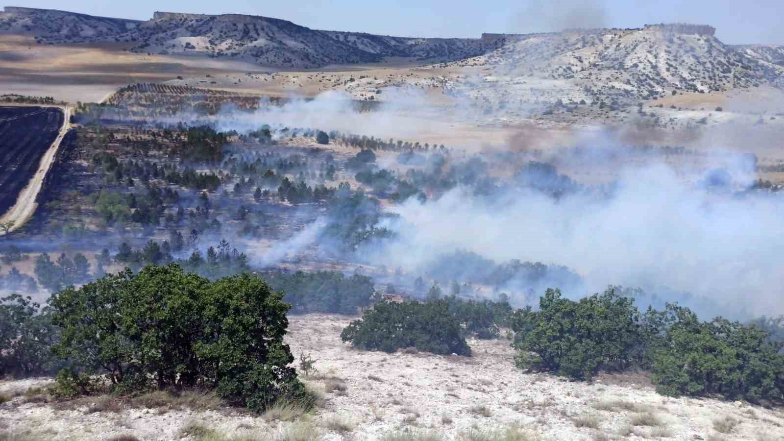 Eskişehir’de 3 farklı noktada orman yangını çıktı