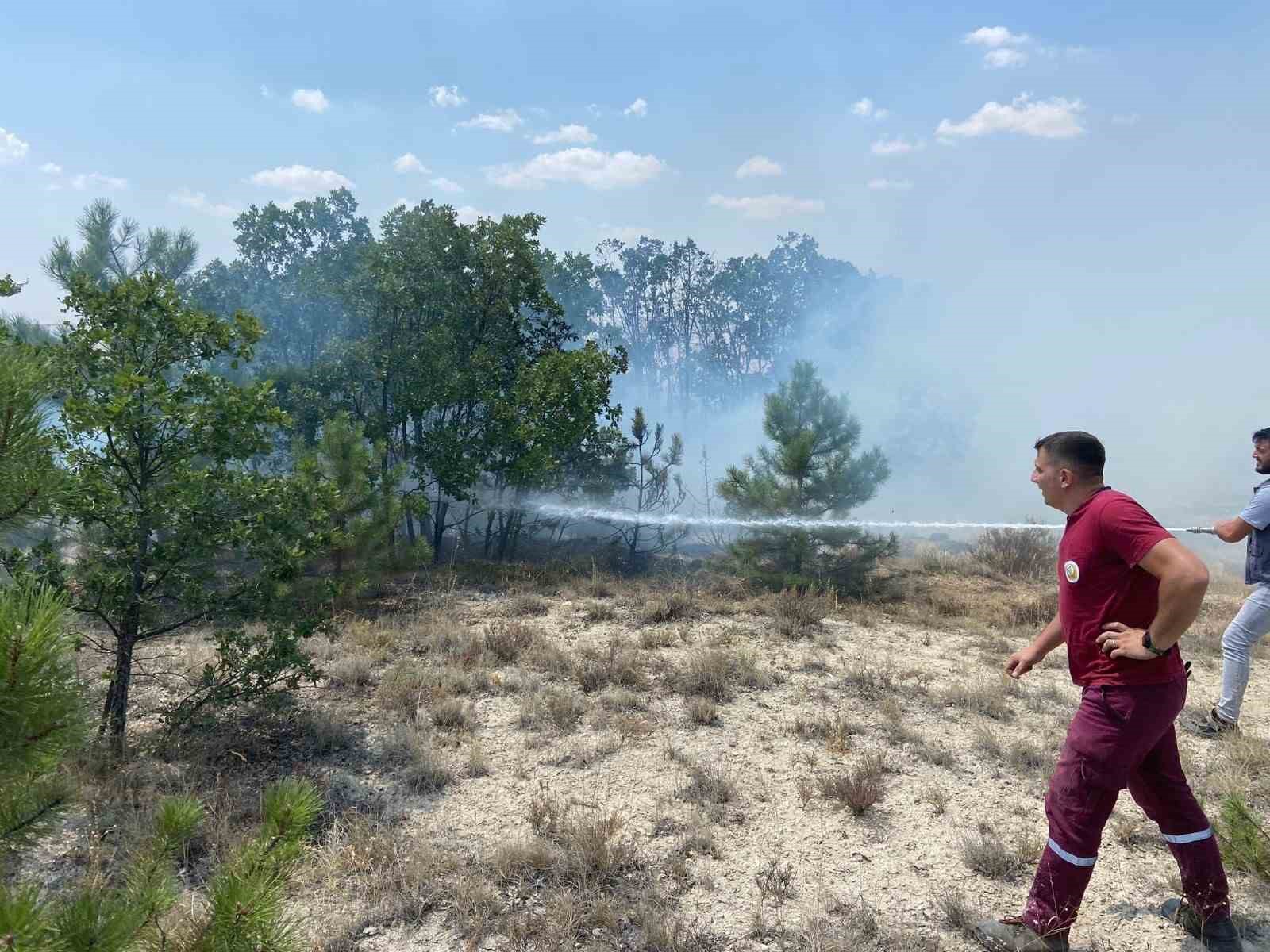 Eskişehir’de 3 farklı noktada orman yangını çıktı