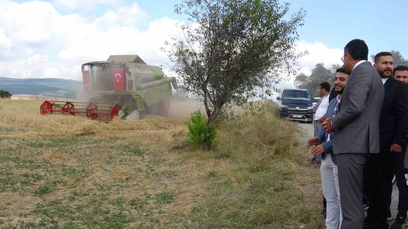 Tavşanlı İsaköy’de ’Harman kaldırma’ etkinliği