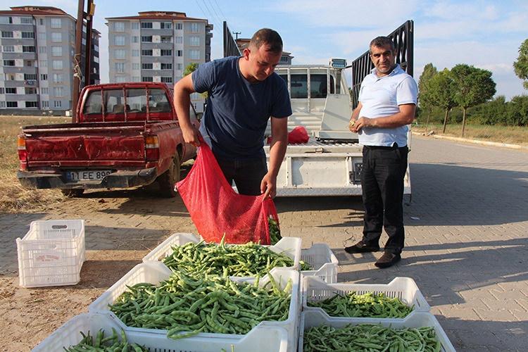 Bilecikte üretiliyor: 'Pazarcık boncuğu'nun hasadı başladı!