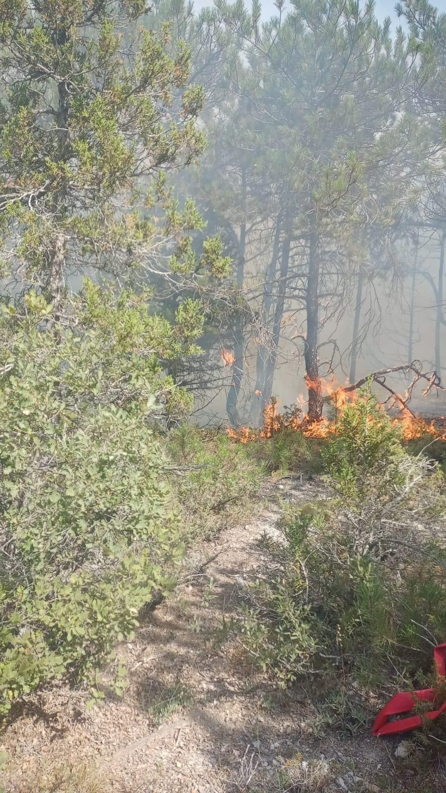 Kütahya’daki orman yangını kısmen kontrol altına alındı