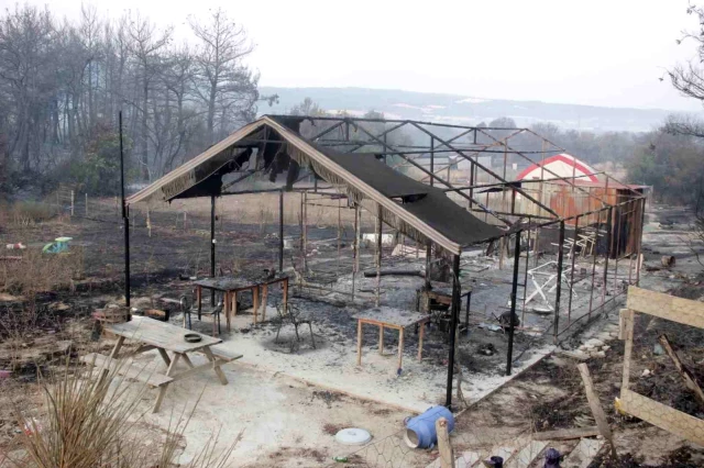 Çanakkale'deki orman yangınında acı tablo! Alevlerin sardığı köyden geriye bu kareler kaldı