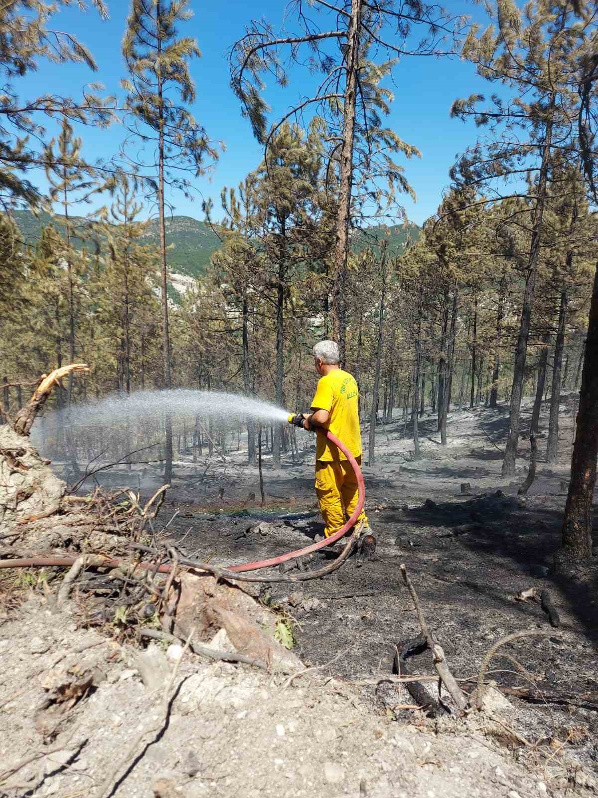 Bilecik’te tamamen sönen orman yangını alanında soğutma işlemleri devam ediyor