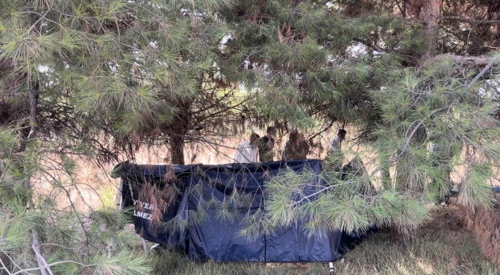 İşçiler fark etti... Bursa'da ağaçlık alanda erkek cesedi bulundu