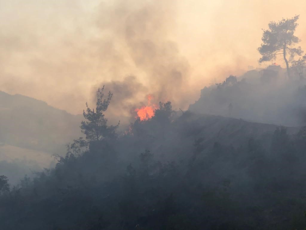 Bilecik’te korkutan orman yangını