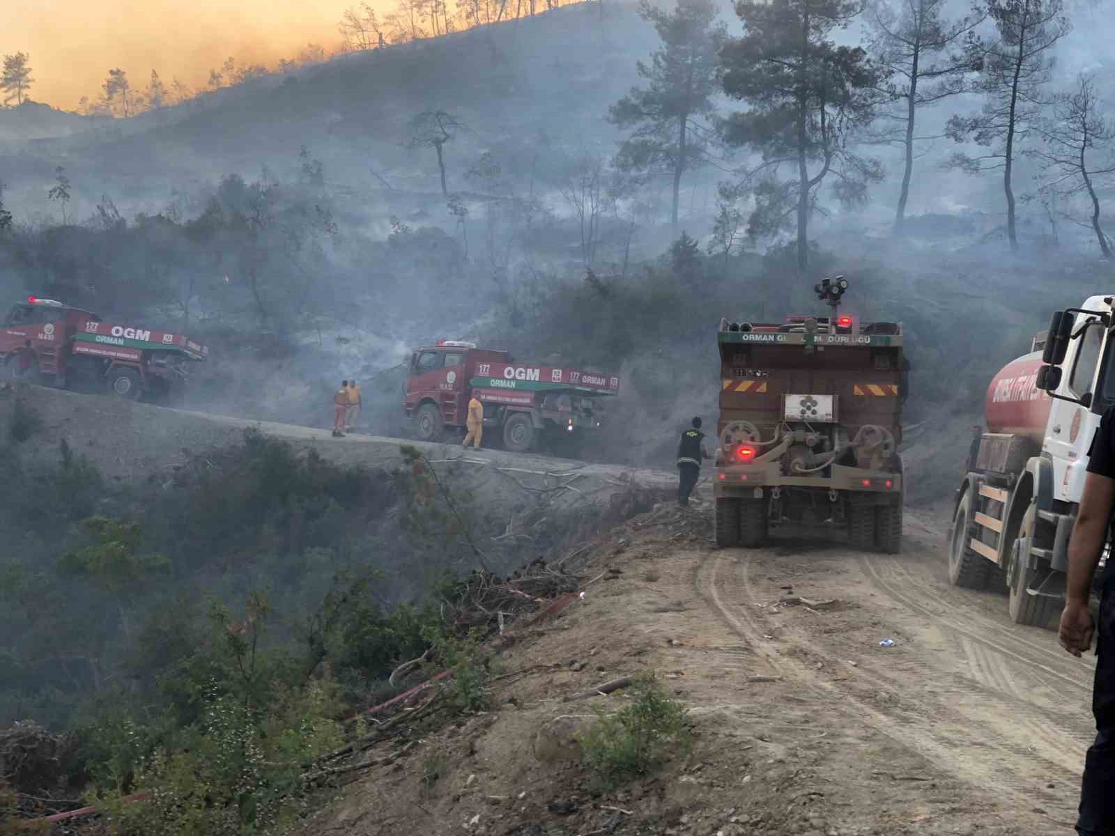 Bilecik’te korkutan orman yangını