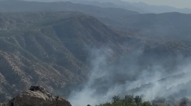Antalya, Eskişehir, Bolu ve Bingöl'de peş peşe orman yangını! Alevlere müdahale devam ediyor