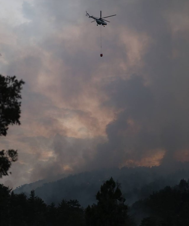 Antalya, Eskişehir, Bolu ve Bingöl'de peş peşe orman yangını! Alevlere müdahale devam ediyor