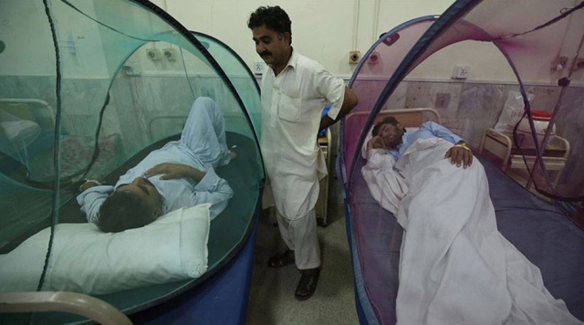 Bangladeş'te Dang Humması nedeniyle son 24 saatte 11 kişi hayatını kaybetti, 2 bin 905 kişi hastaneye kaldırıldı
