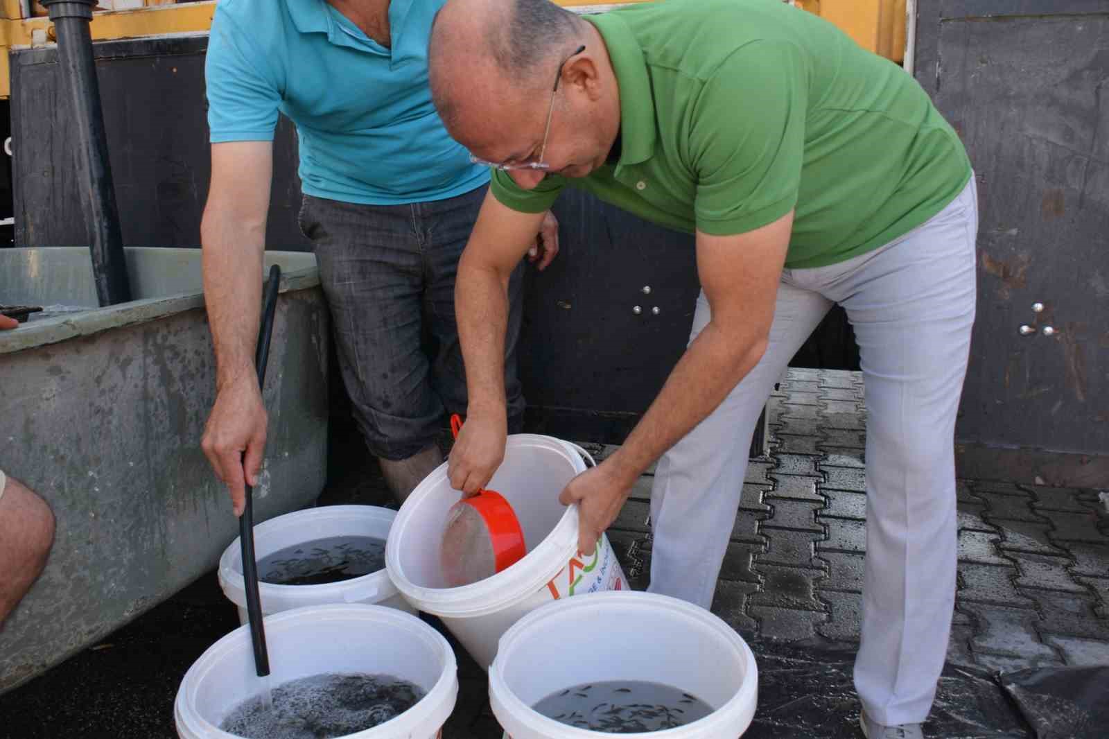Kütahya’da su kaynaklarına 1 milyon yavru sazan balığı bırakıldı