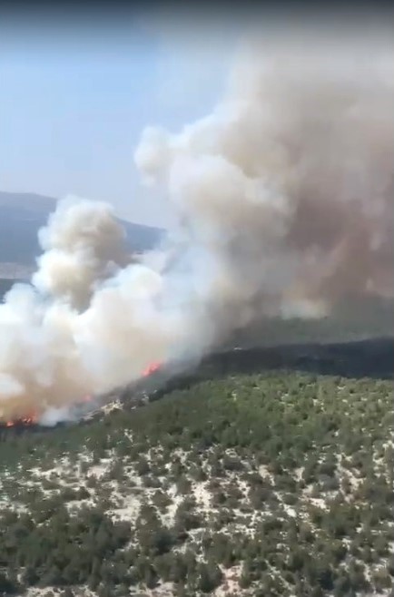 Kütahya’daki orman yangını tamamen kontrol altına alındı