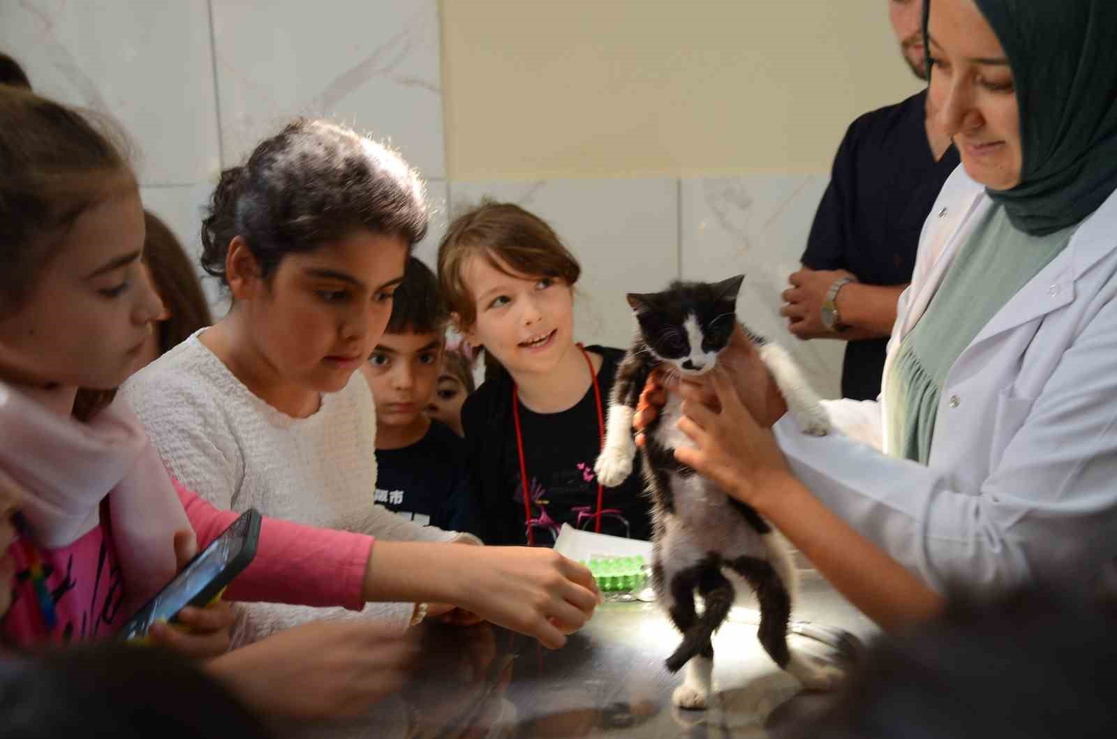 Kur’an kursu öğrencileri hayvan barınağını ziyaret etti